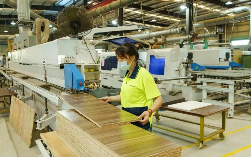 Woodworker Inspecting Walnut Panels.png